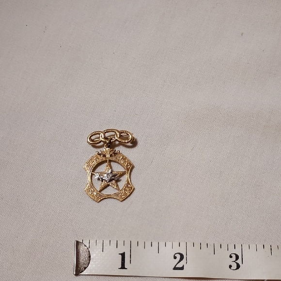 Vintage IOOF Rebekah 10K Star Dove Three Links Membership Pin